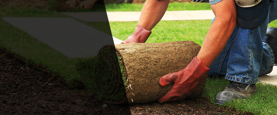 Atlantic City Landscapers